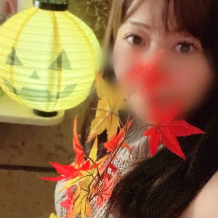 遠征撮影計画🍁