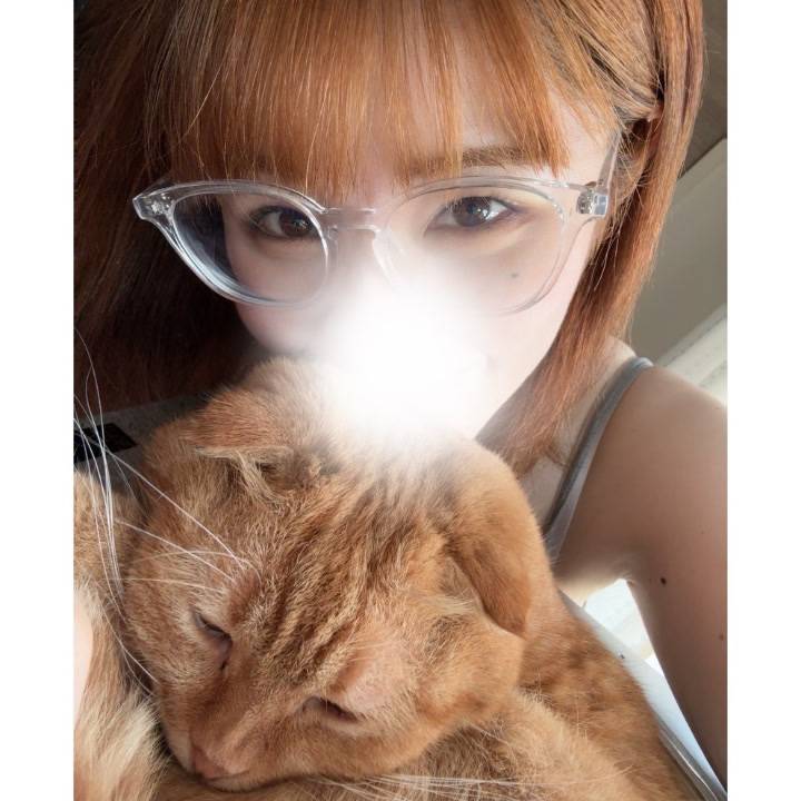 レオン🐱の今後