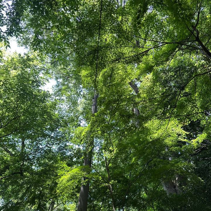 いつもごめんなさい　😭