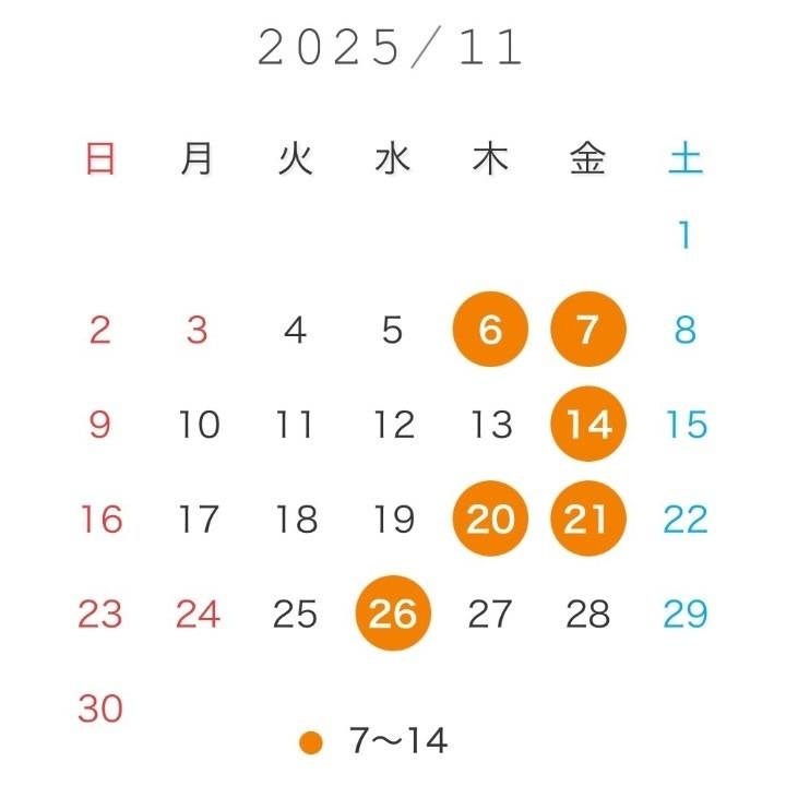 11月の予定✨
