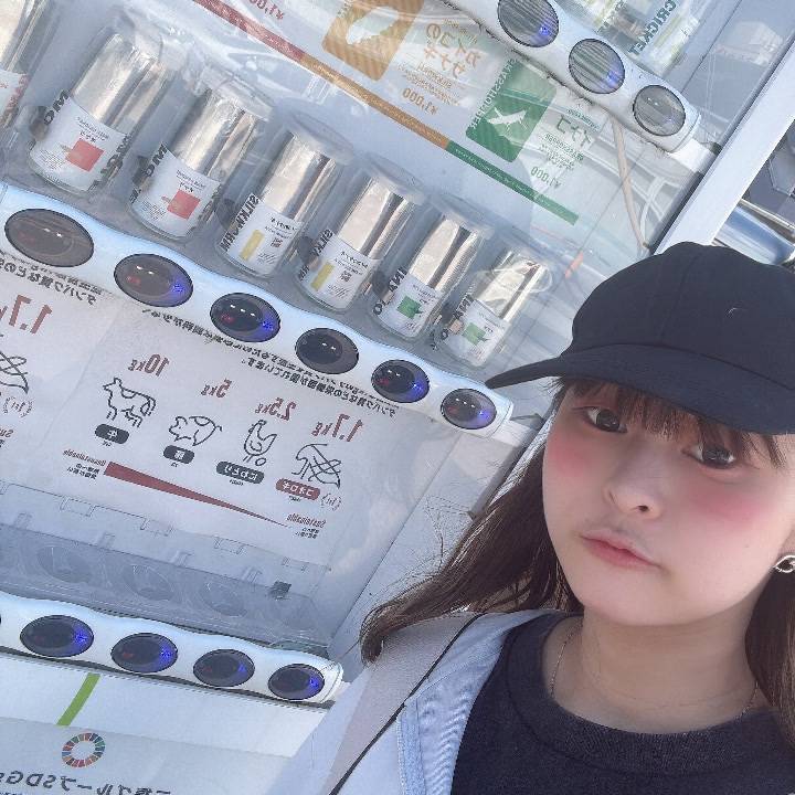 コオロギ煎餅はえびせんの味
