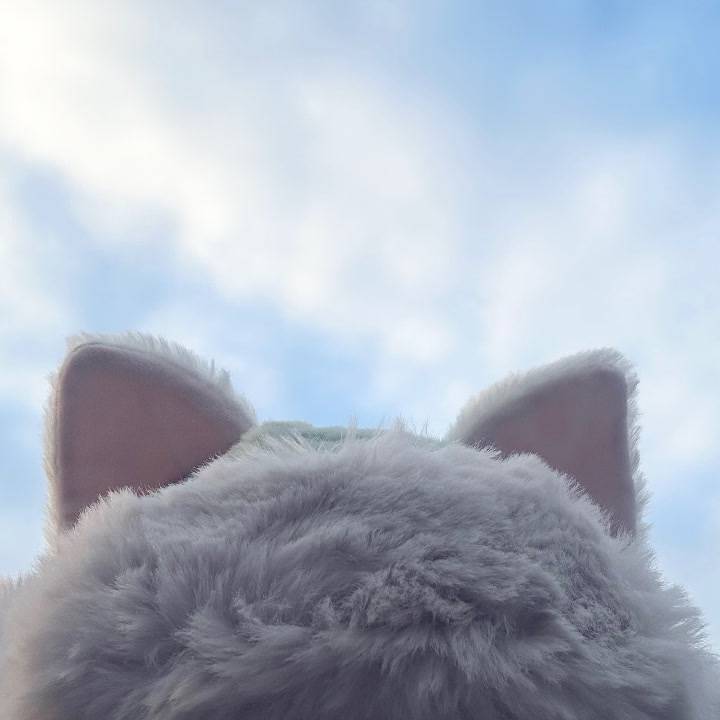 しゅ！！！