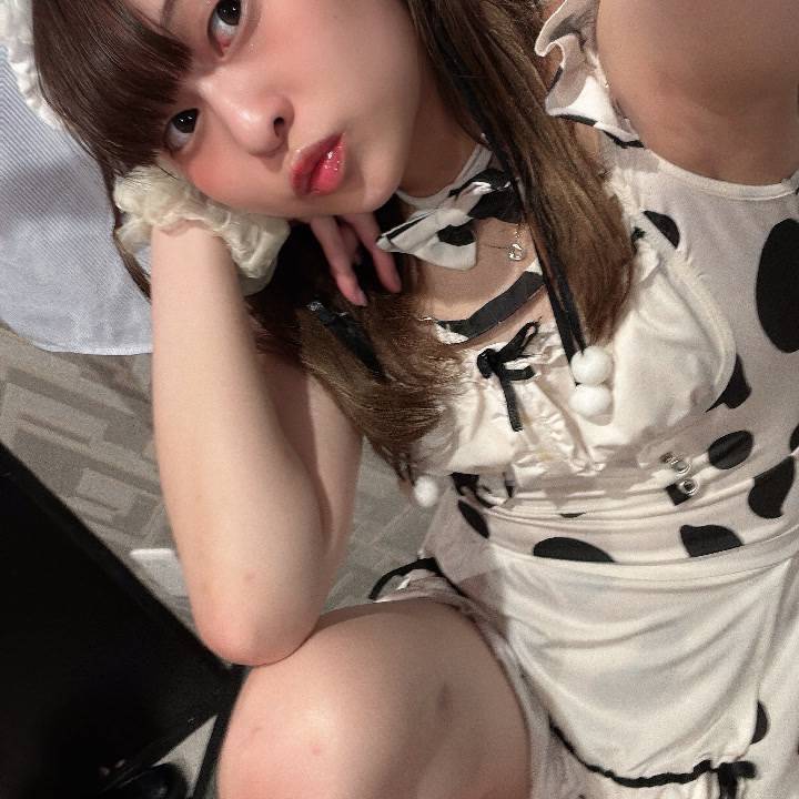 可愛い動物さんたち
