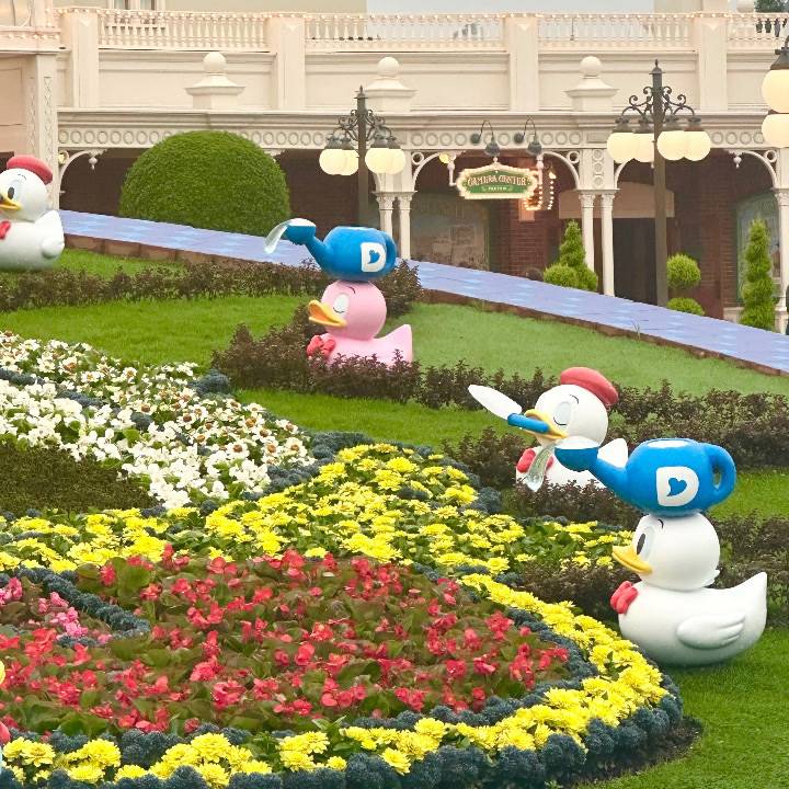 しゅ！！！