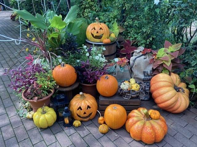 本日☆
