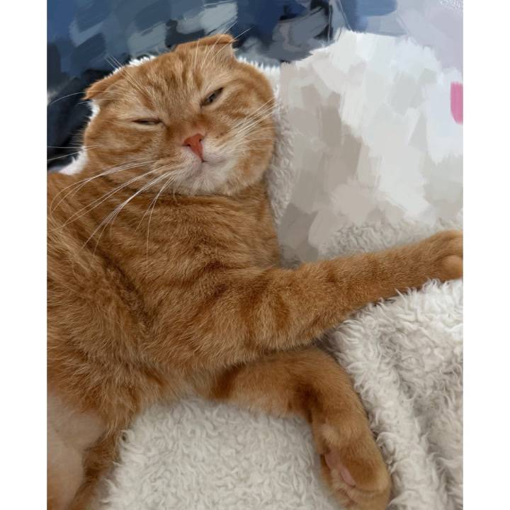 松山出勤について