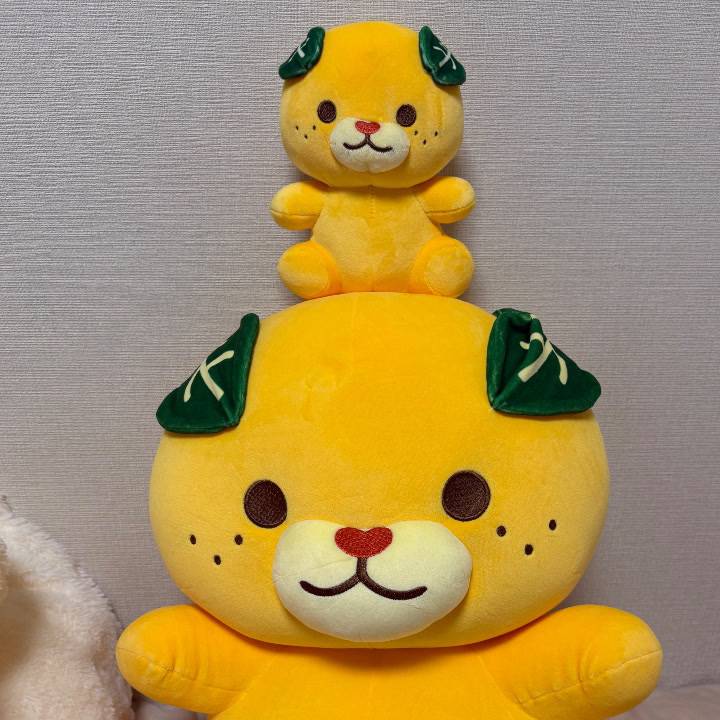 水戸へ行くど🐑
