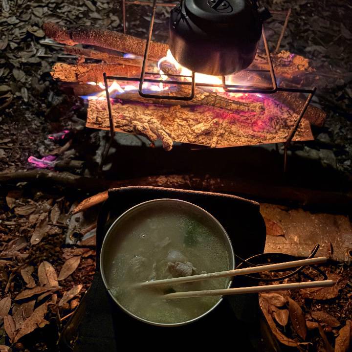 🏕️