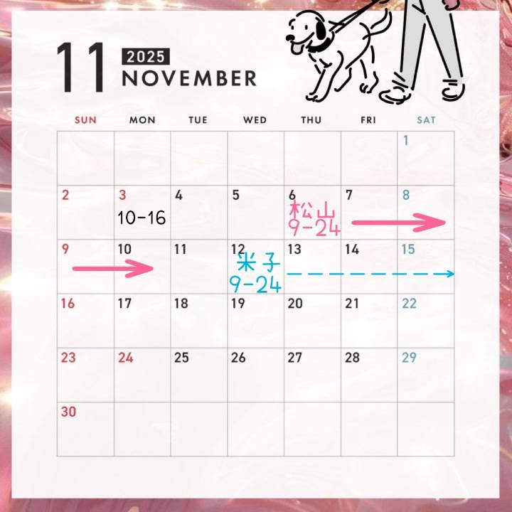 11月前半❣️対戦よろしく⚔️