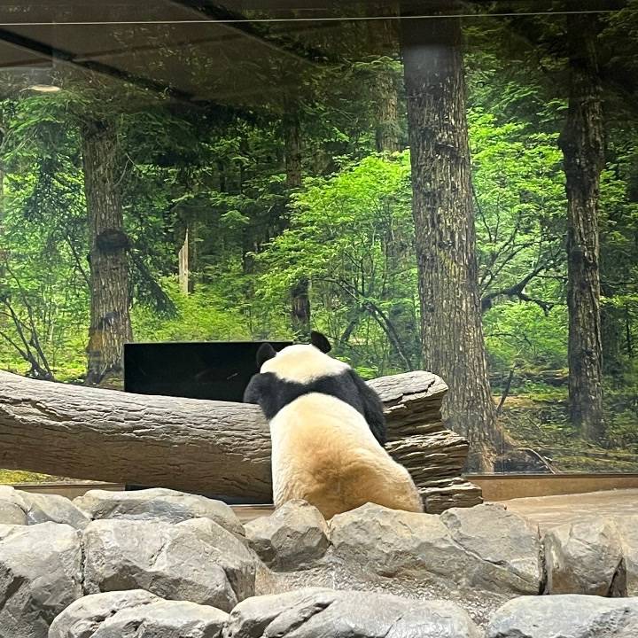 今日もありがとうございました♡