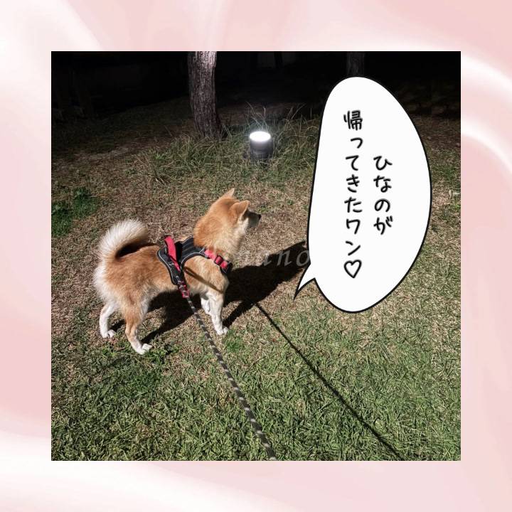 "イヌ予約"しました🐕