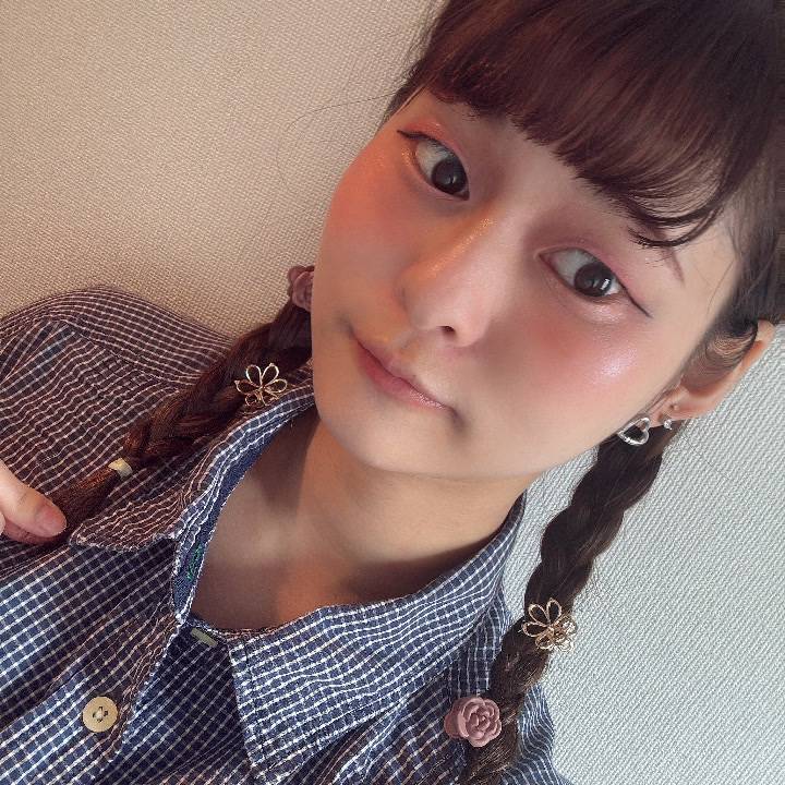 ミニマリストしたかった