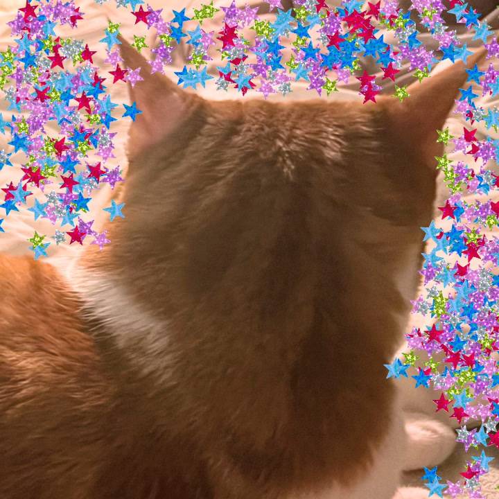 土曜日だったね😂