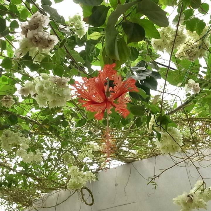 写真うまくなりたい