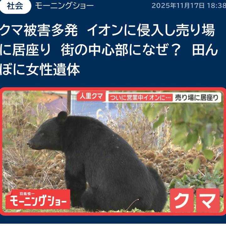 クマクマクマ🐻