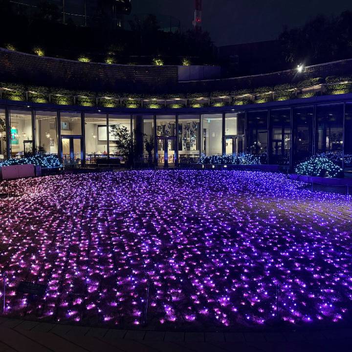 イルミネーション