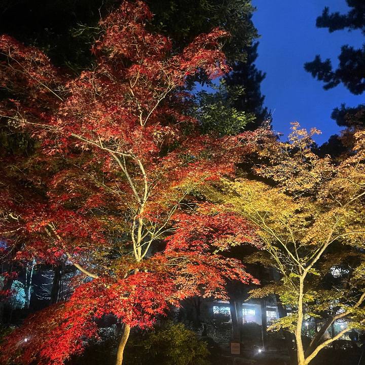 本日御予約満了です🙇