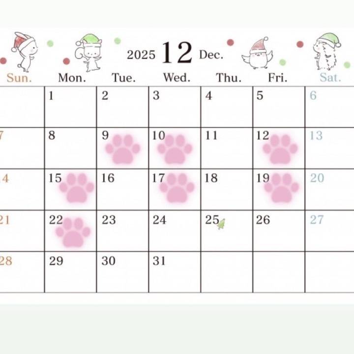 12月後半の予定…😨😨