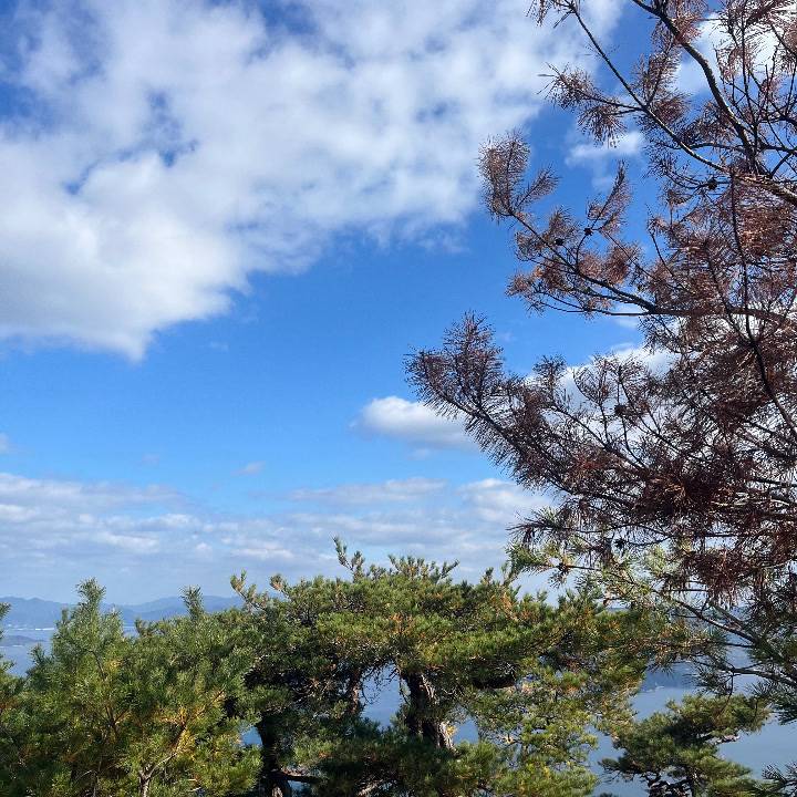 回復しました😮‍💨❤️‍🔥❤️‍🔥❤️‍🔥