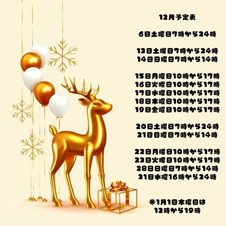 12月と年末年始の予定表♡