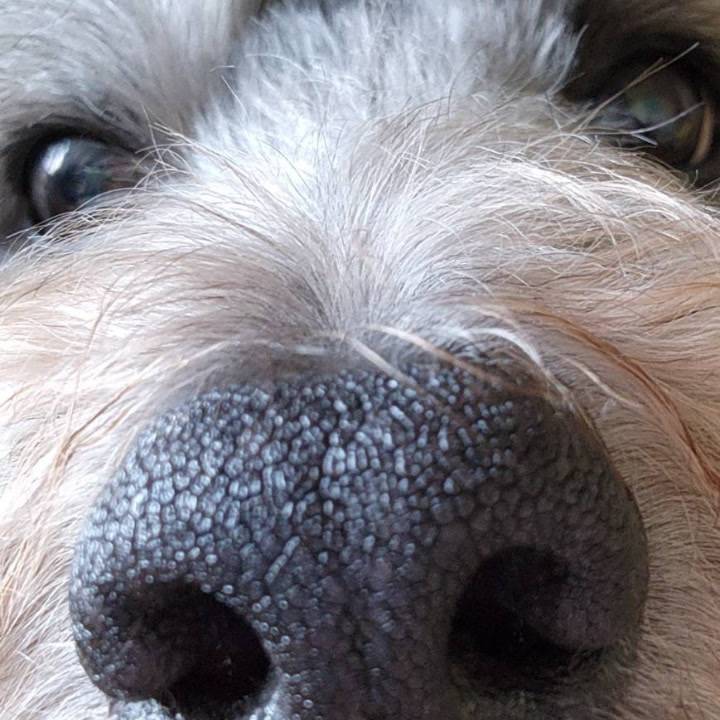 風邪に気をつけてね😷