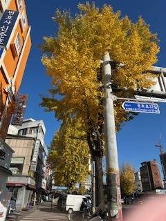 12/11(木)7時〜50分のみ🈳