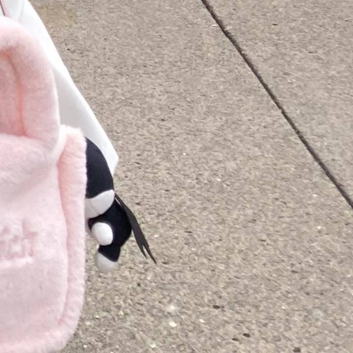 ごろごろdayღ꜀(꜆ˆ -  -ˆ)꜆