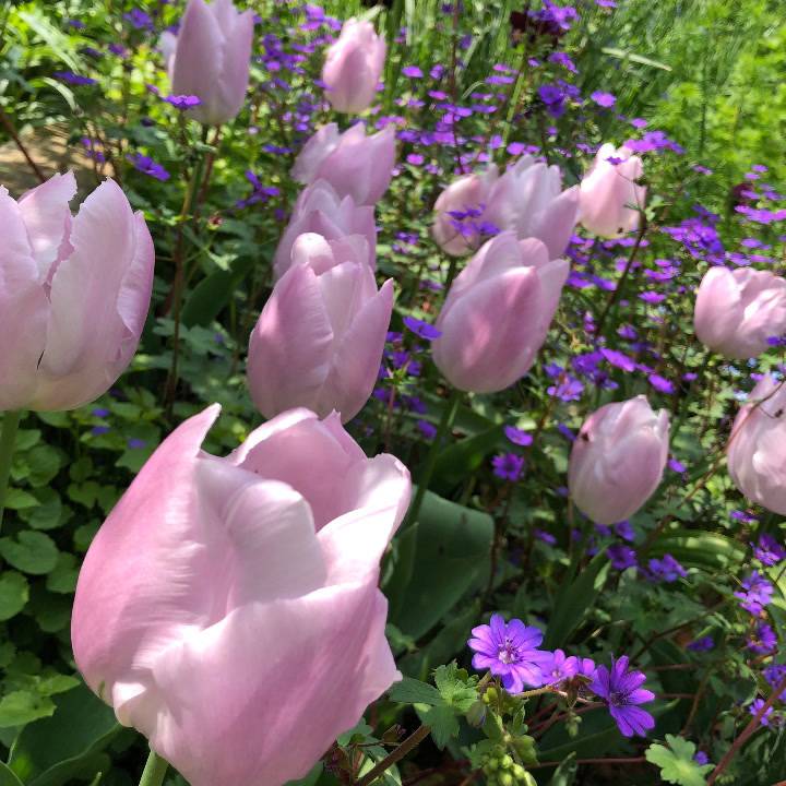 本日出勤！今週ラスト！