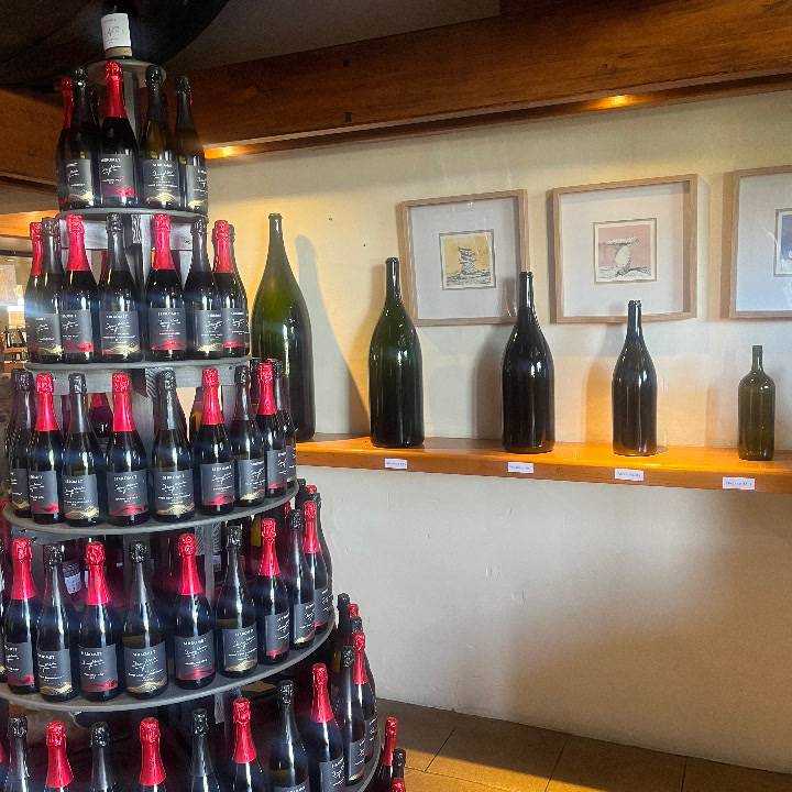 🍷大満喫中❤️‍🔥 17日戻ります🌱