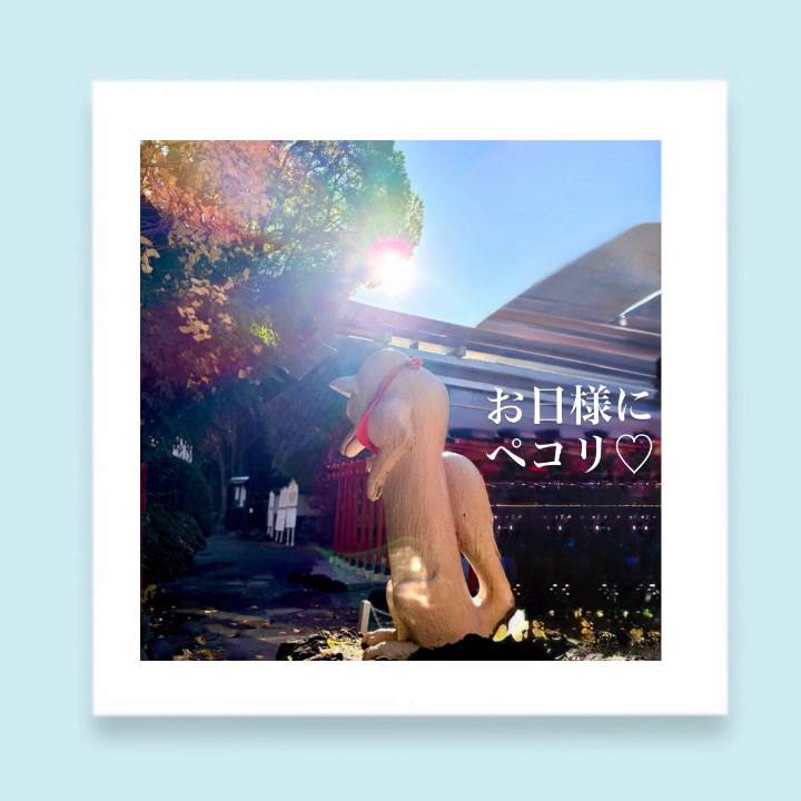 ありがとうの対義語♡