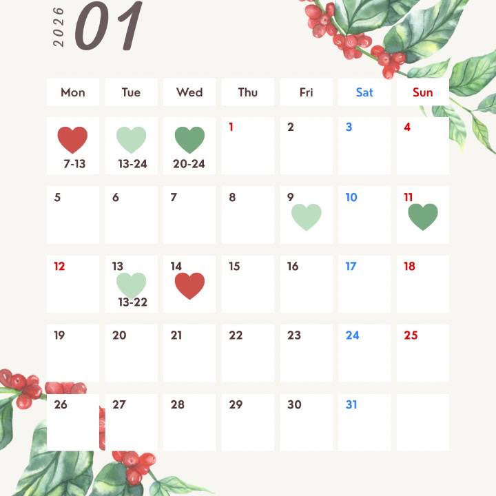 💐2026年1月前半💫