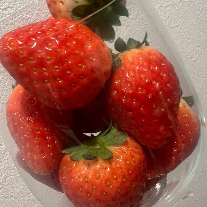 いちごちゃん🍓