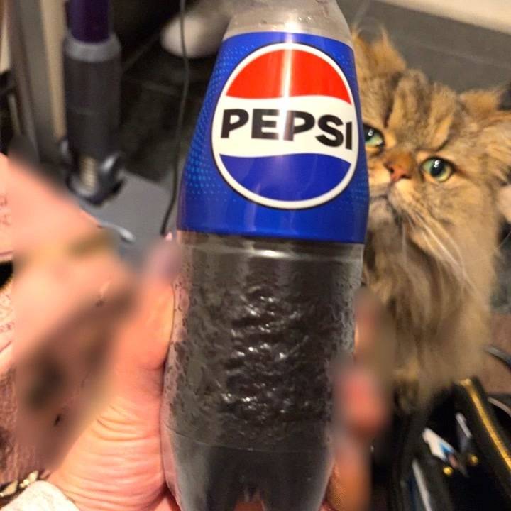 こんなときどうする？