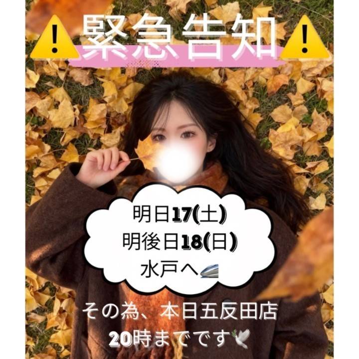 ⚠️緊急告知⚠️