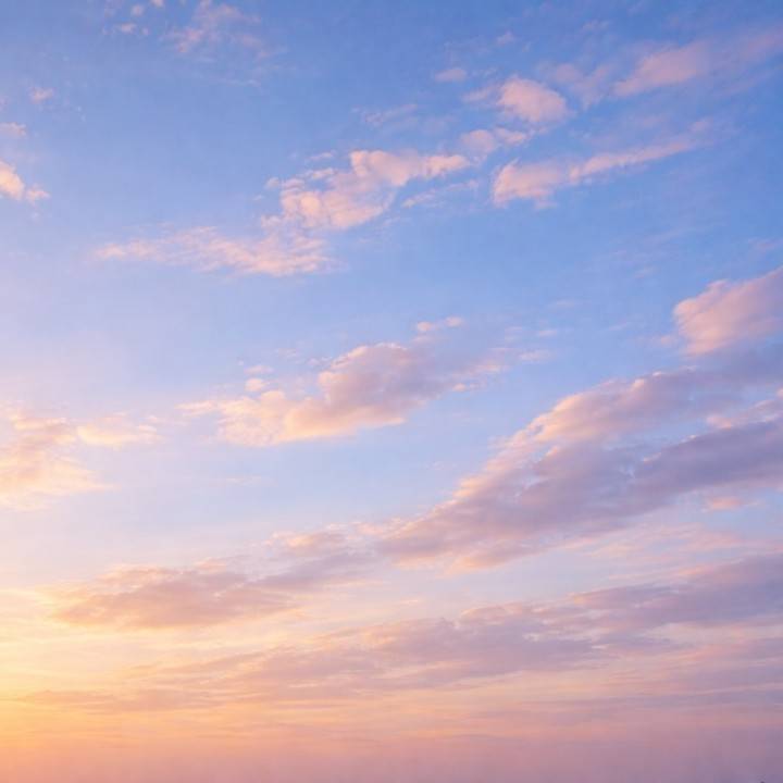 本日9:00〜16:00います🫧