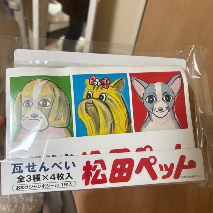 何かわかるかな❓