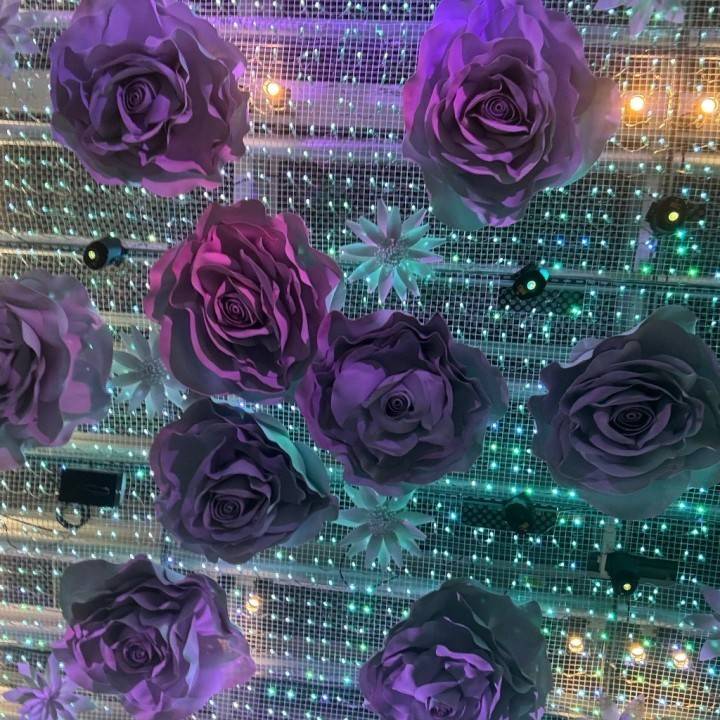 ぬくぬく補給中…🧸🤍