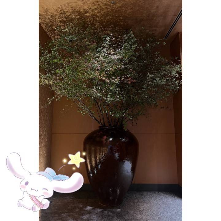 明日いるよ🎠💫