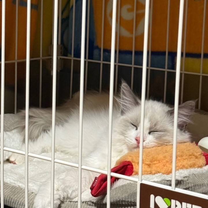 あたたかいご縁が、少しずつ🕊