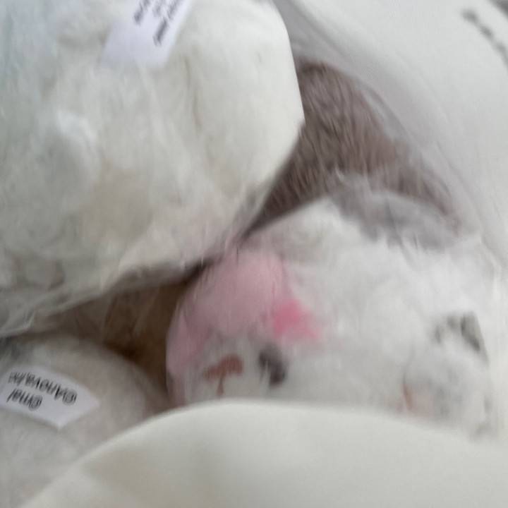 沼ると危険⚠️