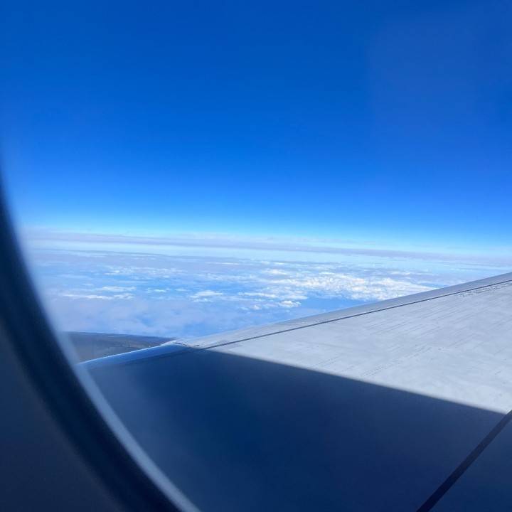 ぴゅーん💨💨💨