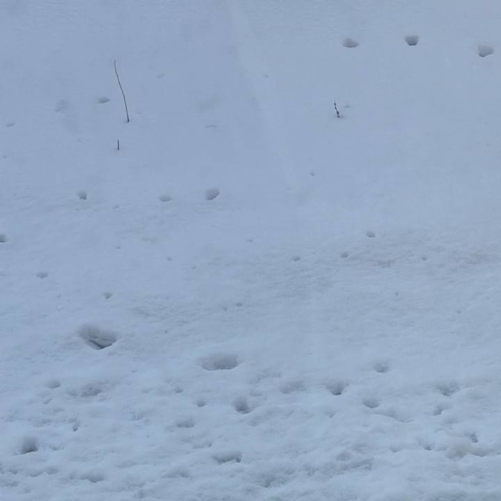 今週の出勤予定！