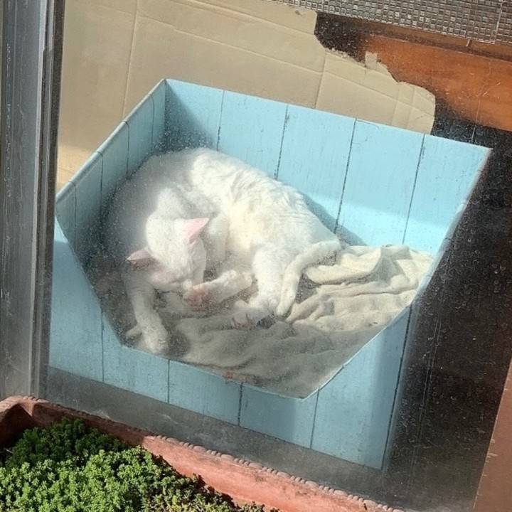 おやすみになりました🥲︎