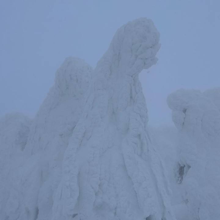 2／25早番出勤✨まほ