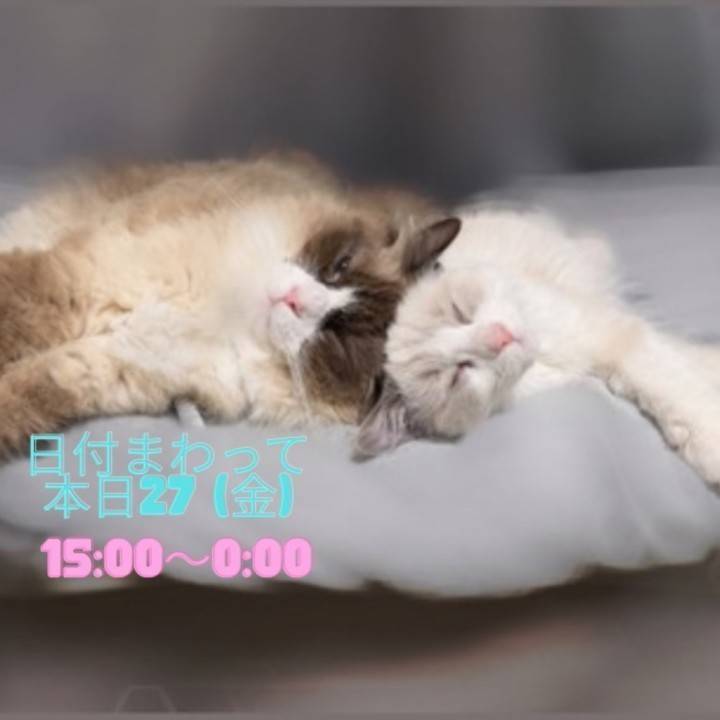 お休み前、残り3日間です🕊