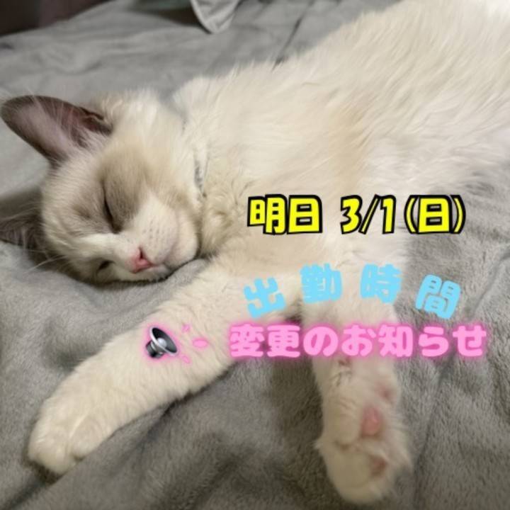 明日15:00～に変更です✨