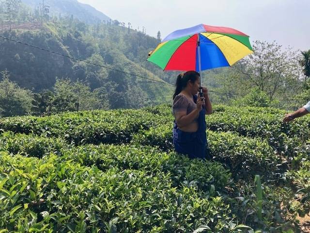 紅茶工場見学☆