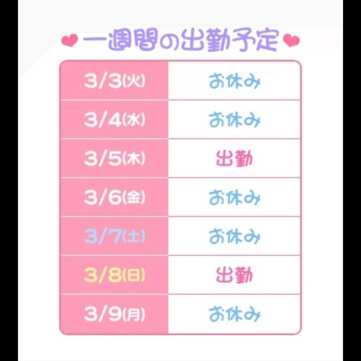 わた🐈今週のスケジュール