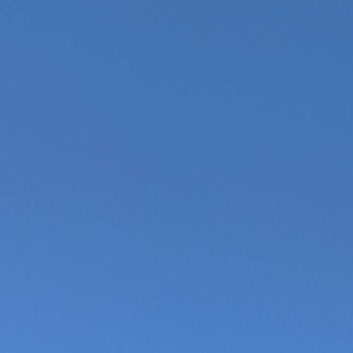 わた🐈‍⬛今日もありがとう💖