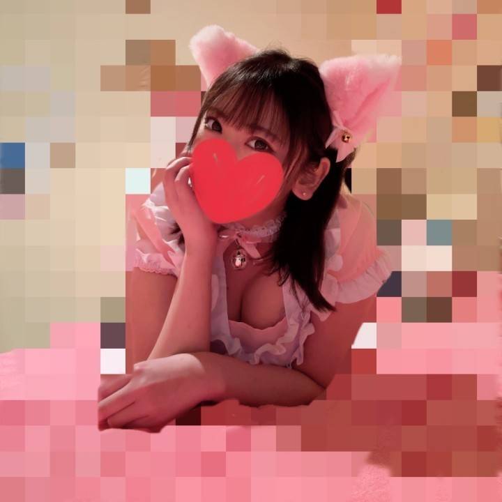 🐱🐱🐱